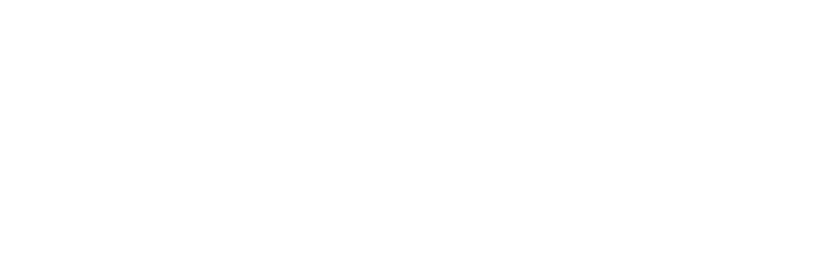 Bmax Logo